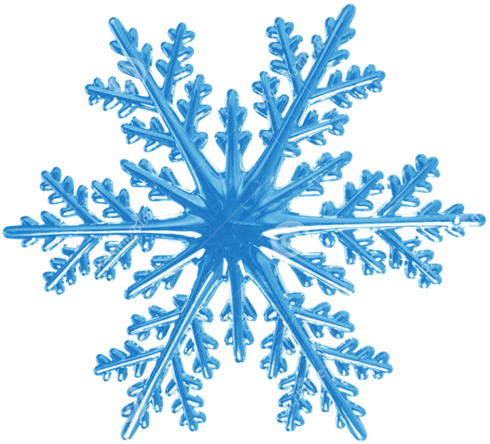 an image of a snowflorer