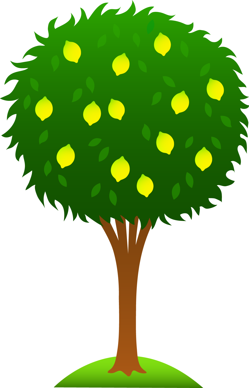 a tree with lemons on it