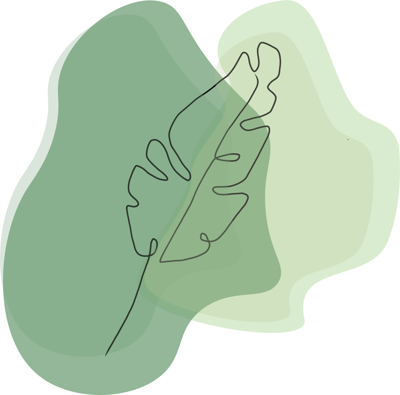a drawing of a leaf on a white background