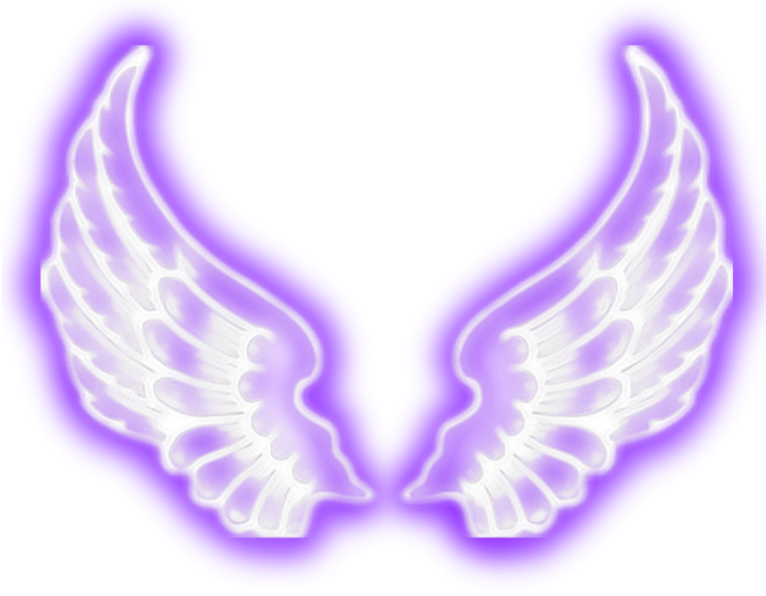 a pair of angel wings on a white background