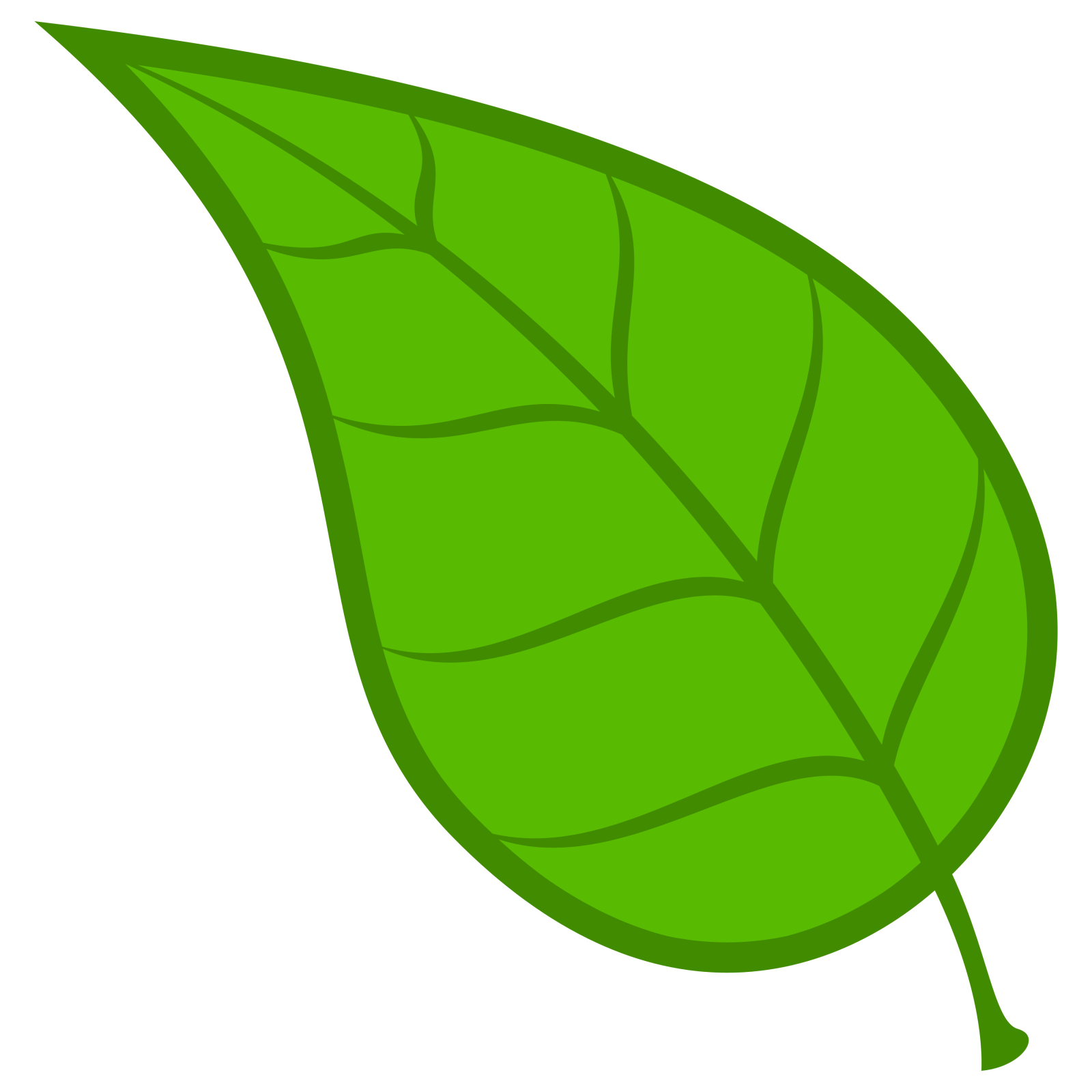 a green leaf on a white background