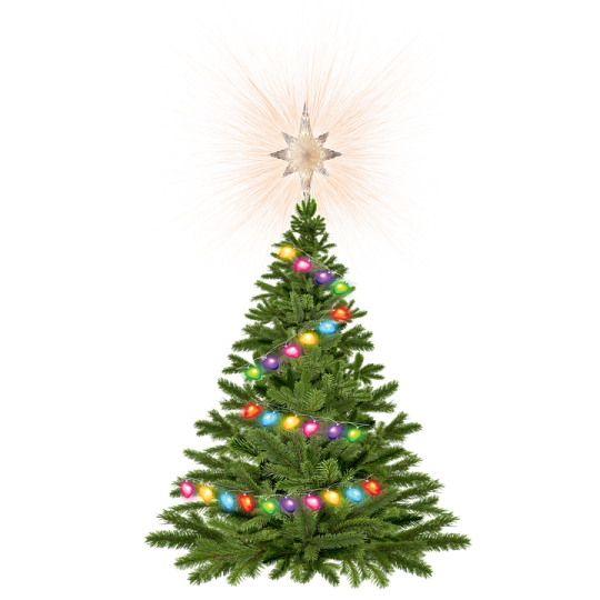 a christmas tree with colorful ornaments and a star