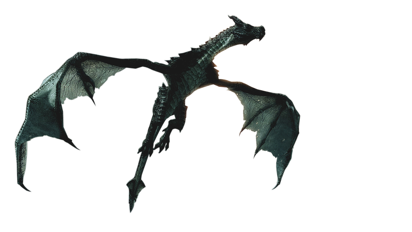 a black dragon flying through the air