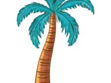 a palm tree on a white background
