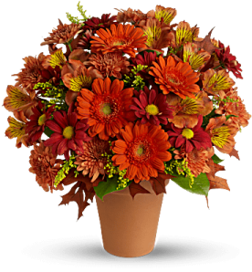 a vase filled with orange and red flowers