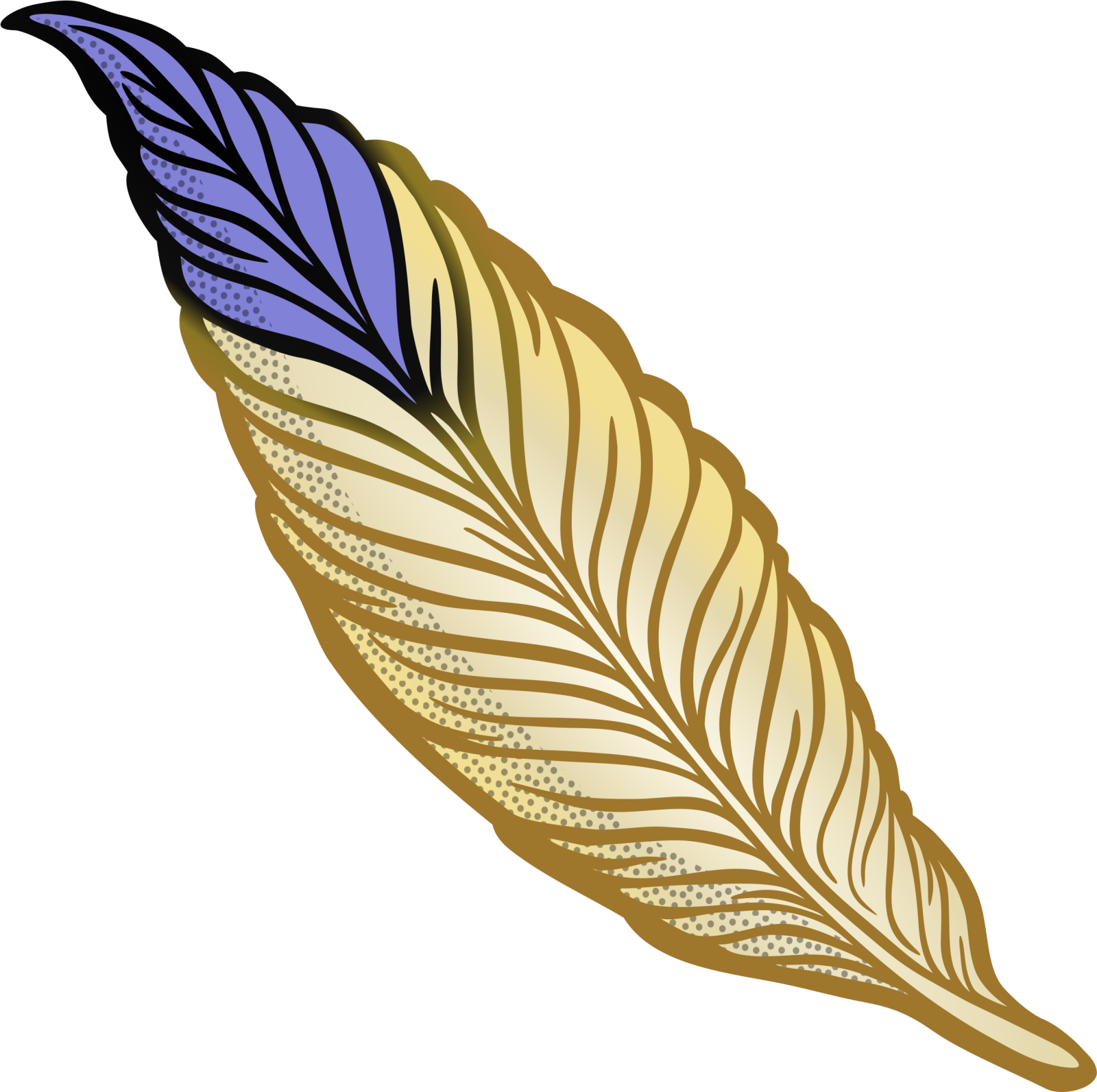 a feather with blue and yellow feathers
