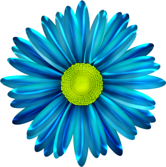 a blue flower on a white background