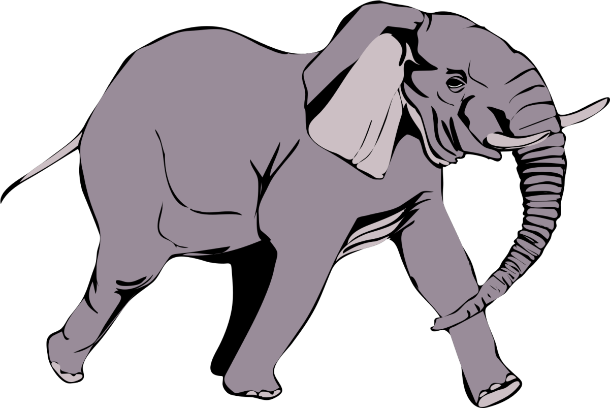 an elephant walking on a white background