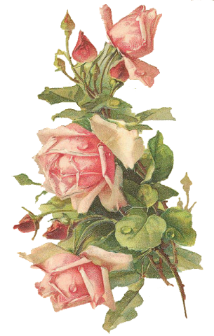 a bunch of pink roses with green leaves
