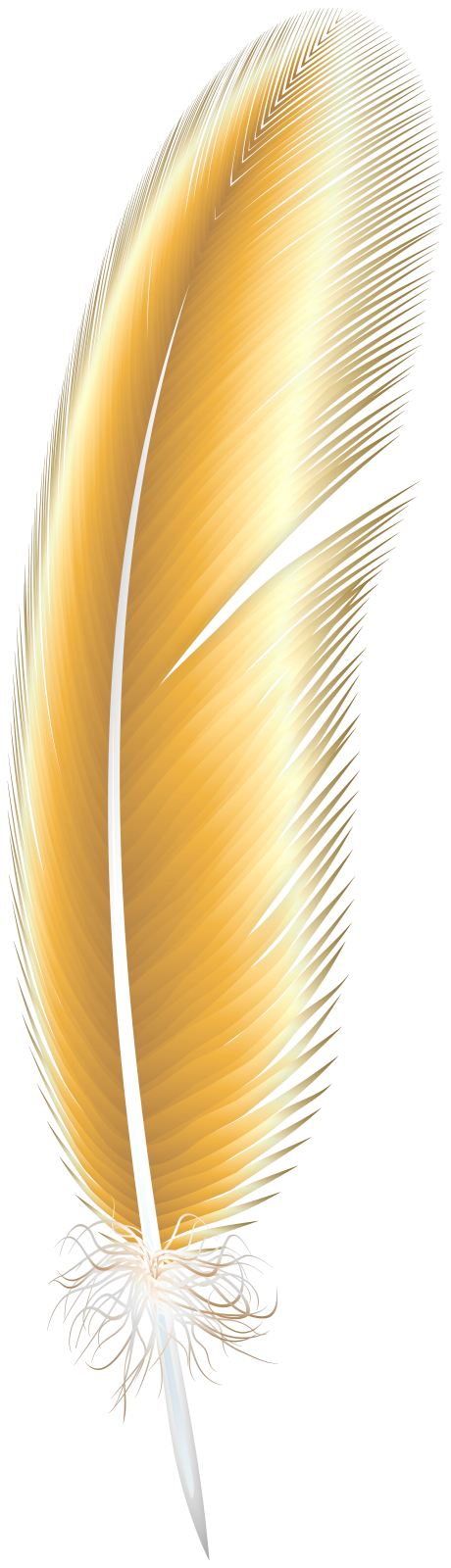 a golden feather on a white background