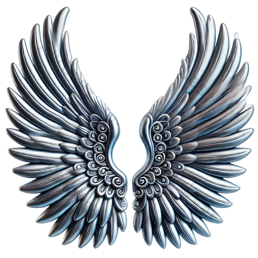 a pair of wings
