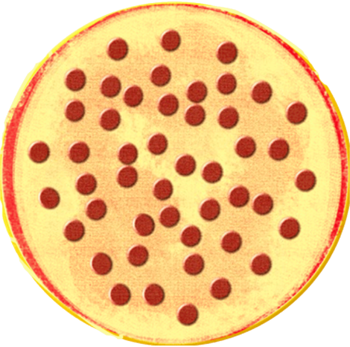 an image of a pizza on a white background
