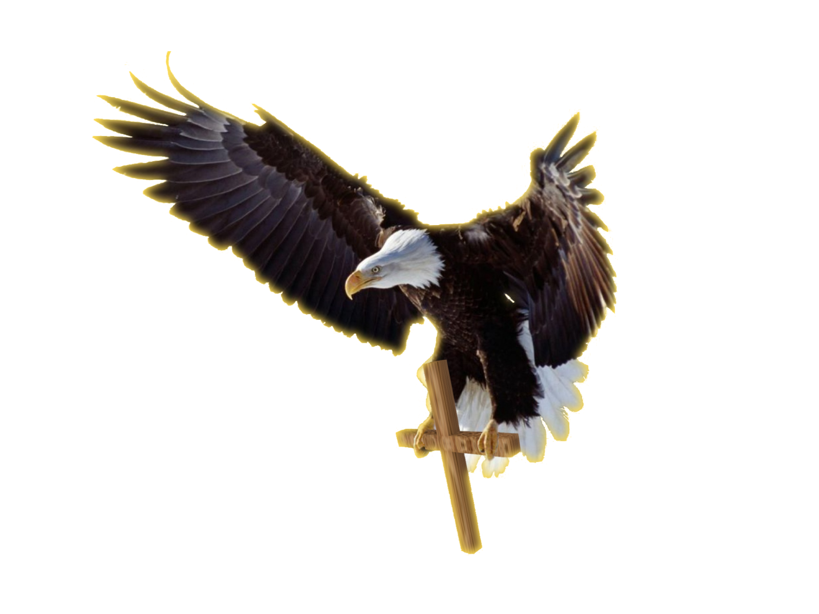 an eagle flying in the air with its wings spread