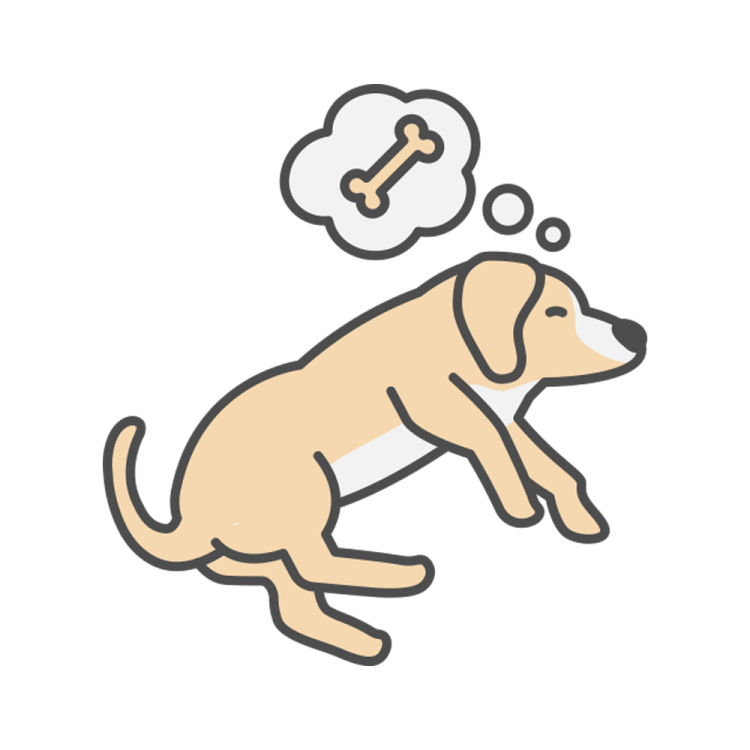 a dog with a thought bubble above its head