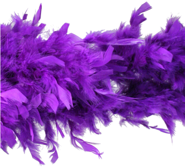 a purple feather on a white background