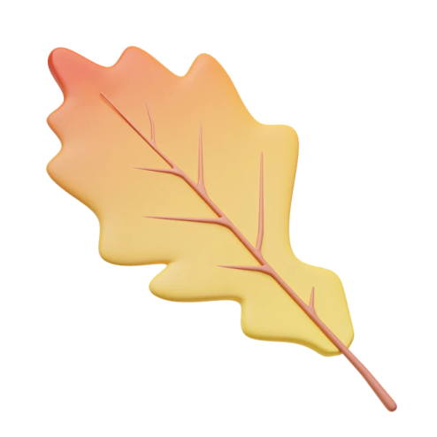 a yellow leaf on a white background