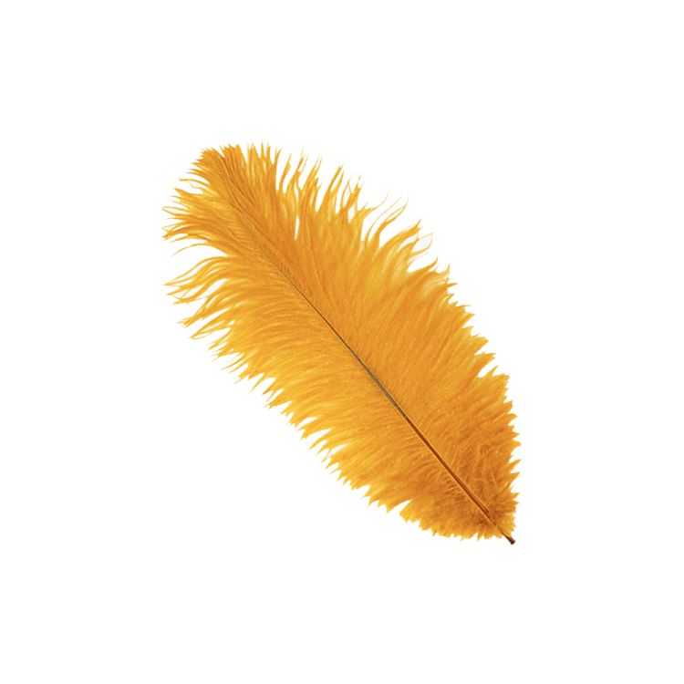 a yellow feather on a white background