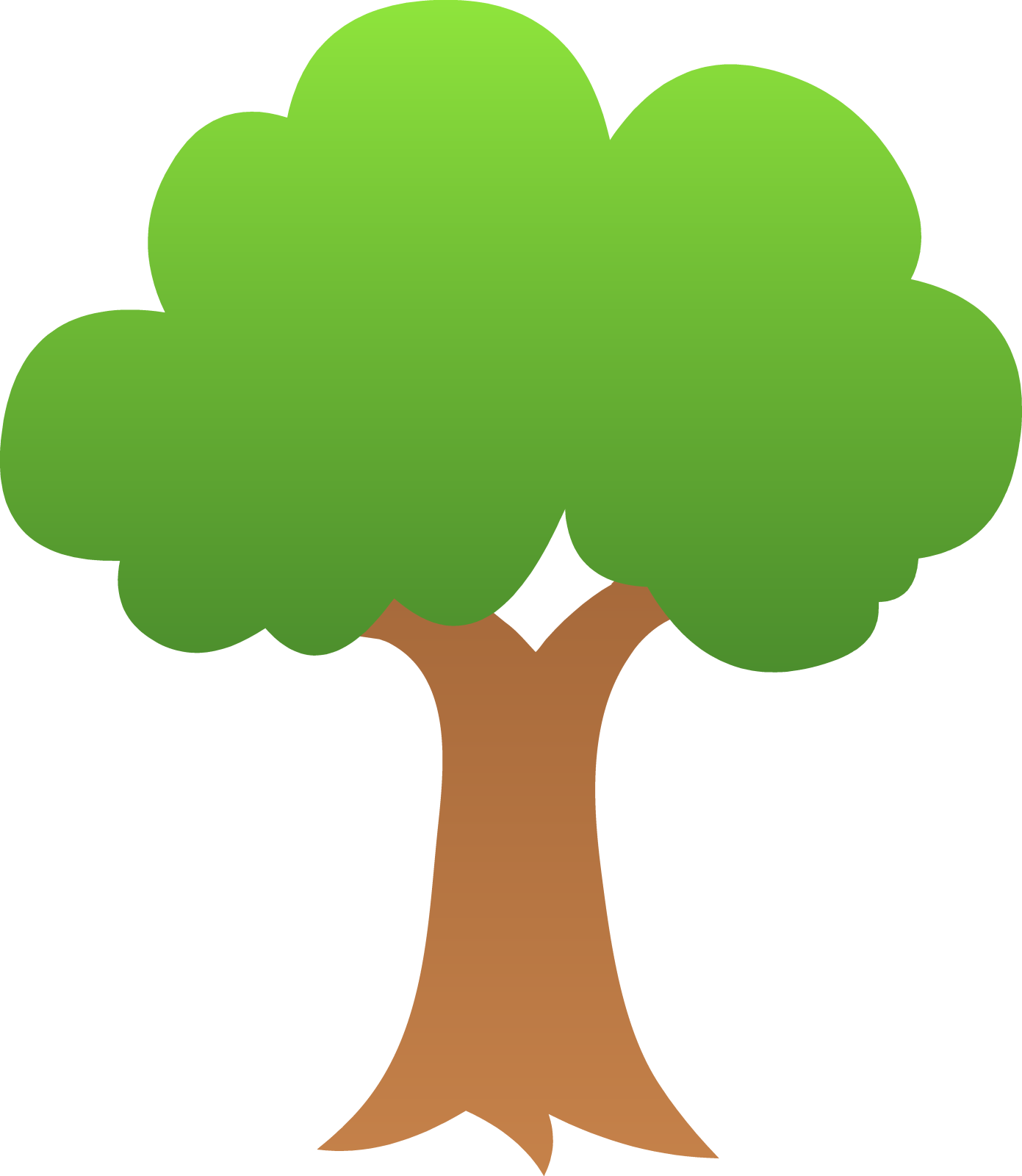 an image of a tree