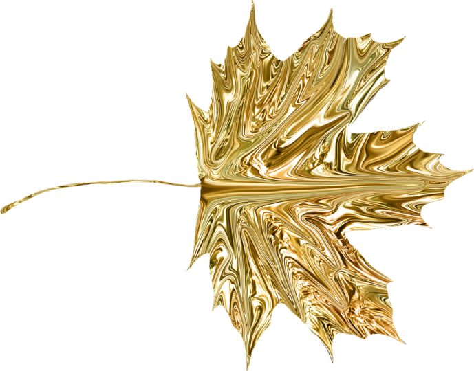 a gold leaf on a white background