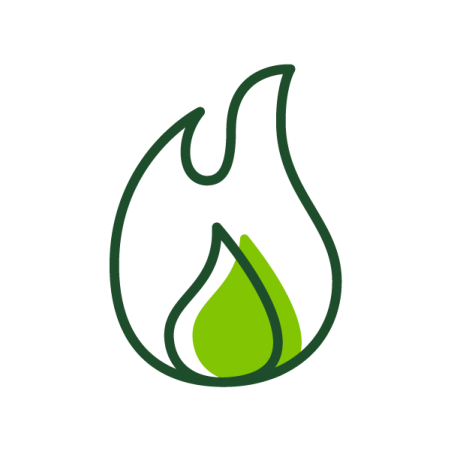 a green leaf with a drop of water on it