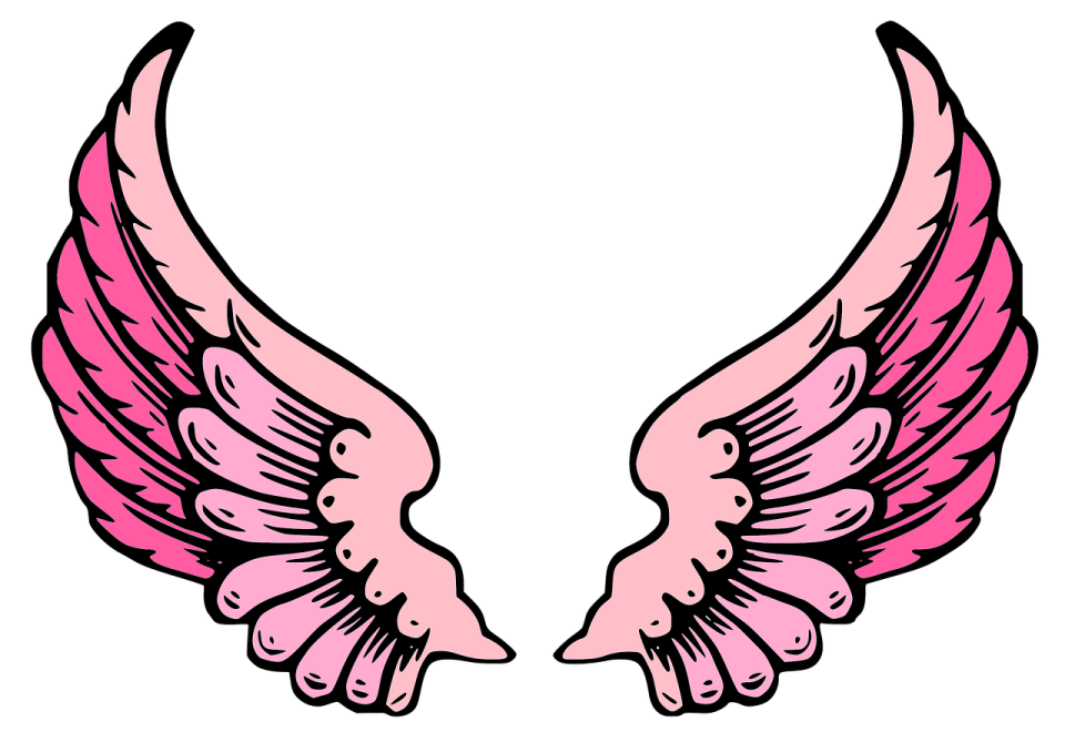 a pair of pink angel wings