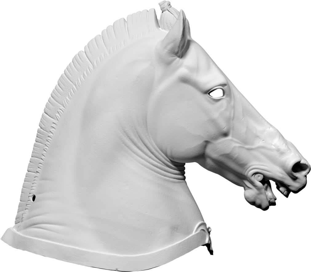a white horse head with a black nose