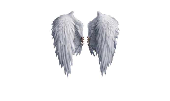 a pair of white wings on a white background