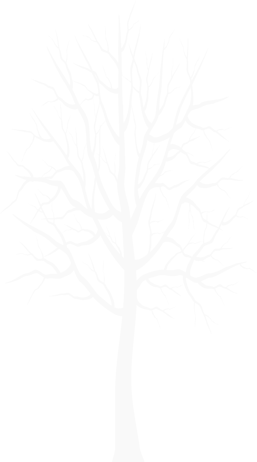 a white tree with no leaves on it