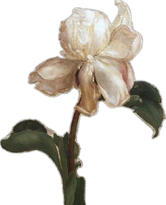 a painting of a flower on a white background