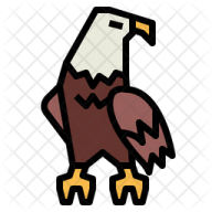 an eagle with a white background
