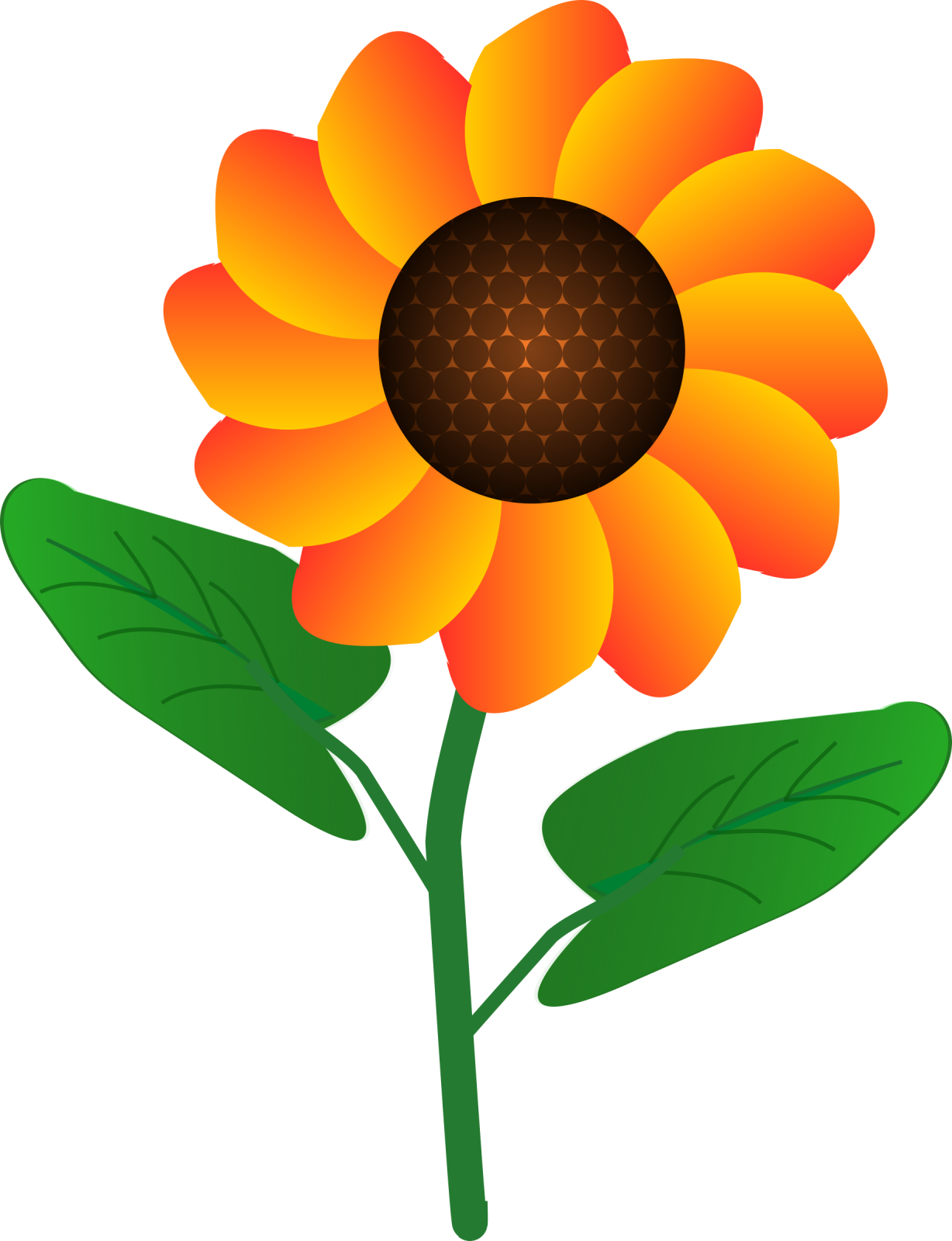 a yellow flower with green leaves