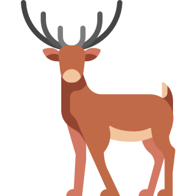 a deer with ants on it's head