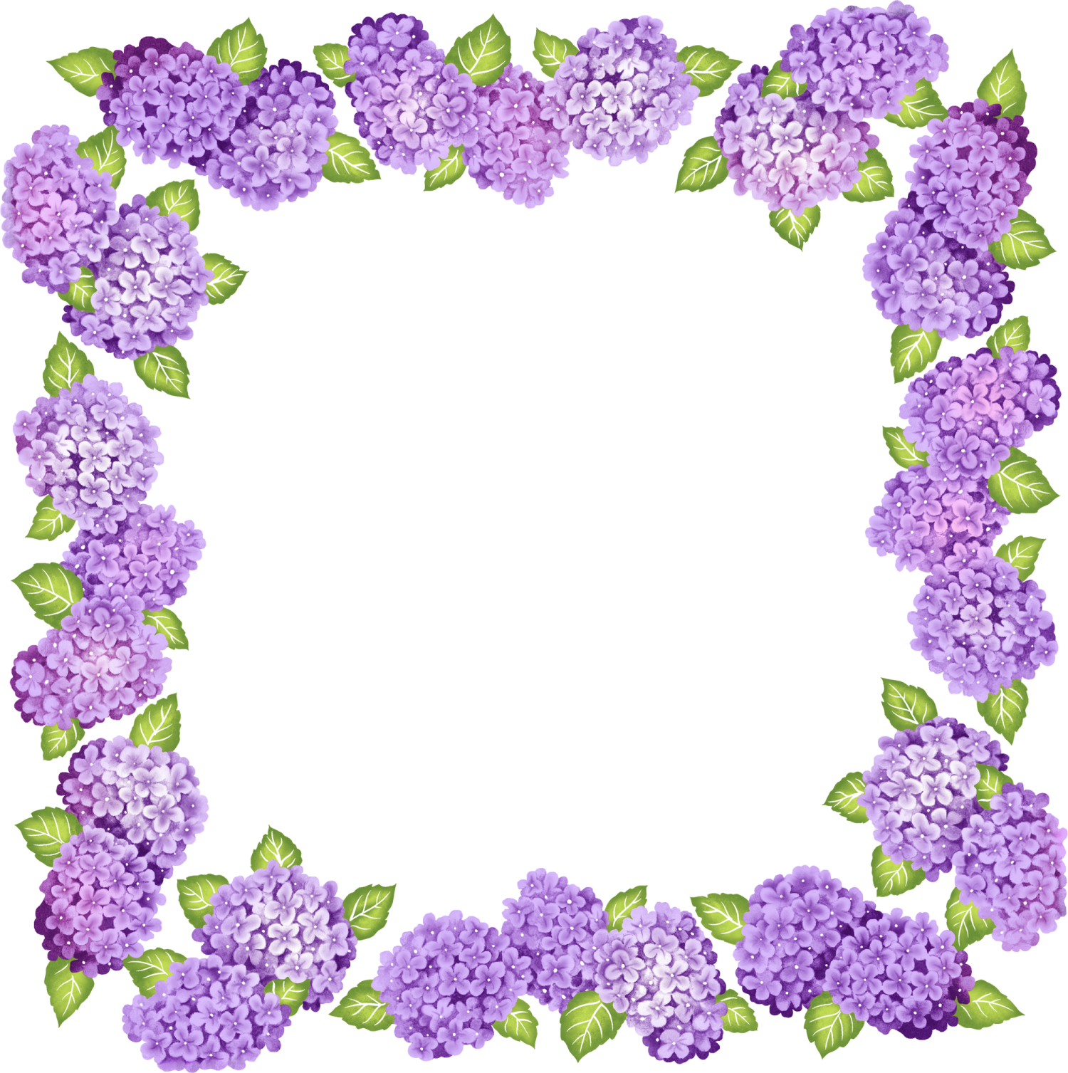 a frame made of purple lila flowers