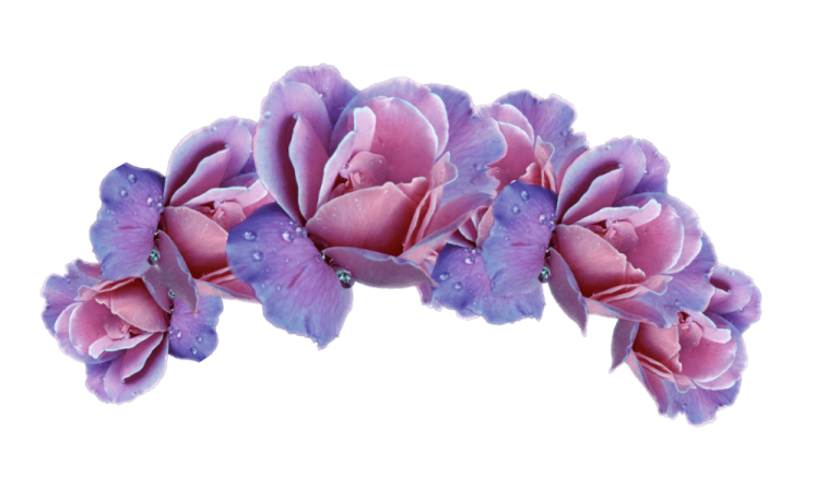 a bunch of purple flowers on a white background