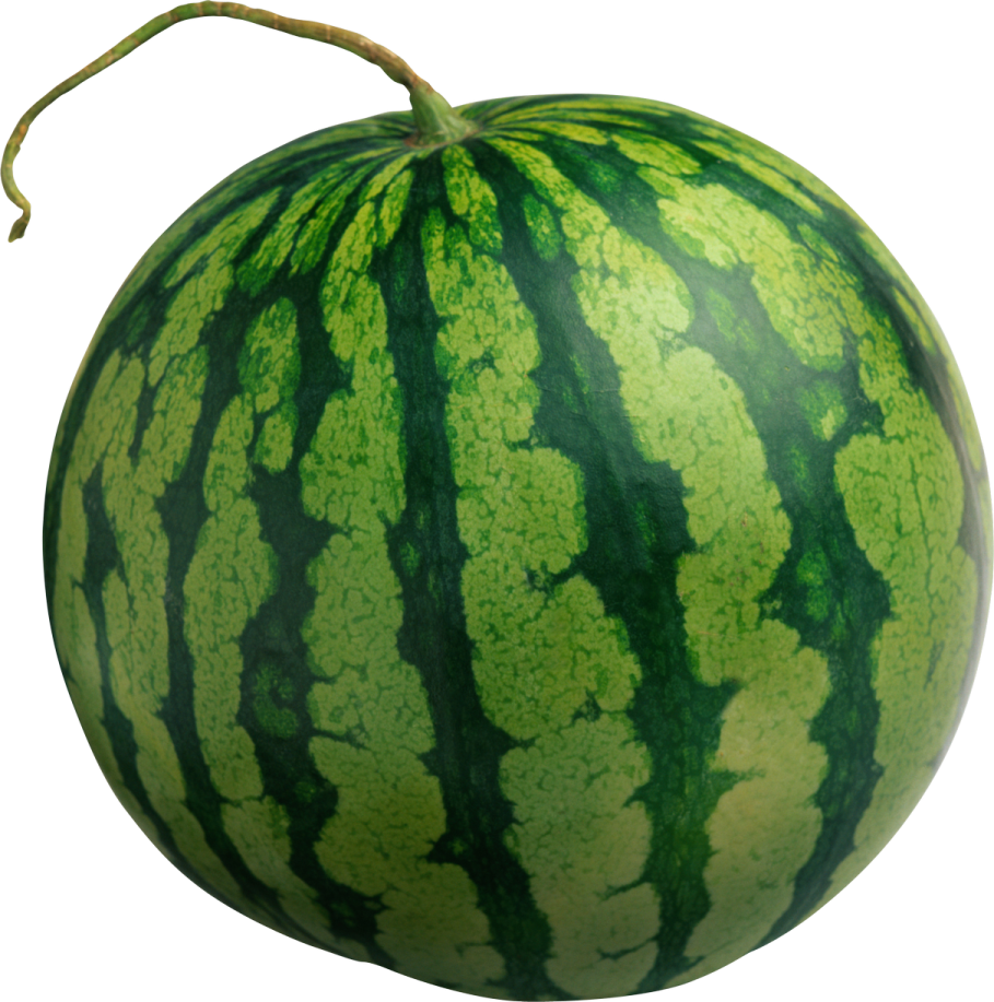 a watermelon on a white background