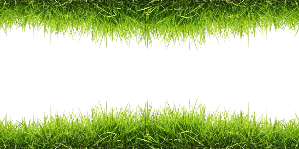 a green grass border on a white background