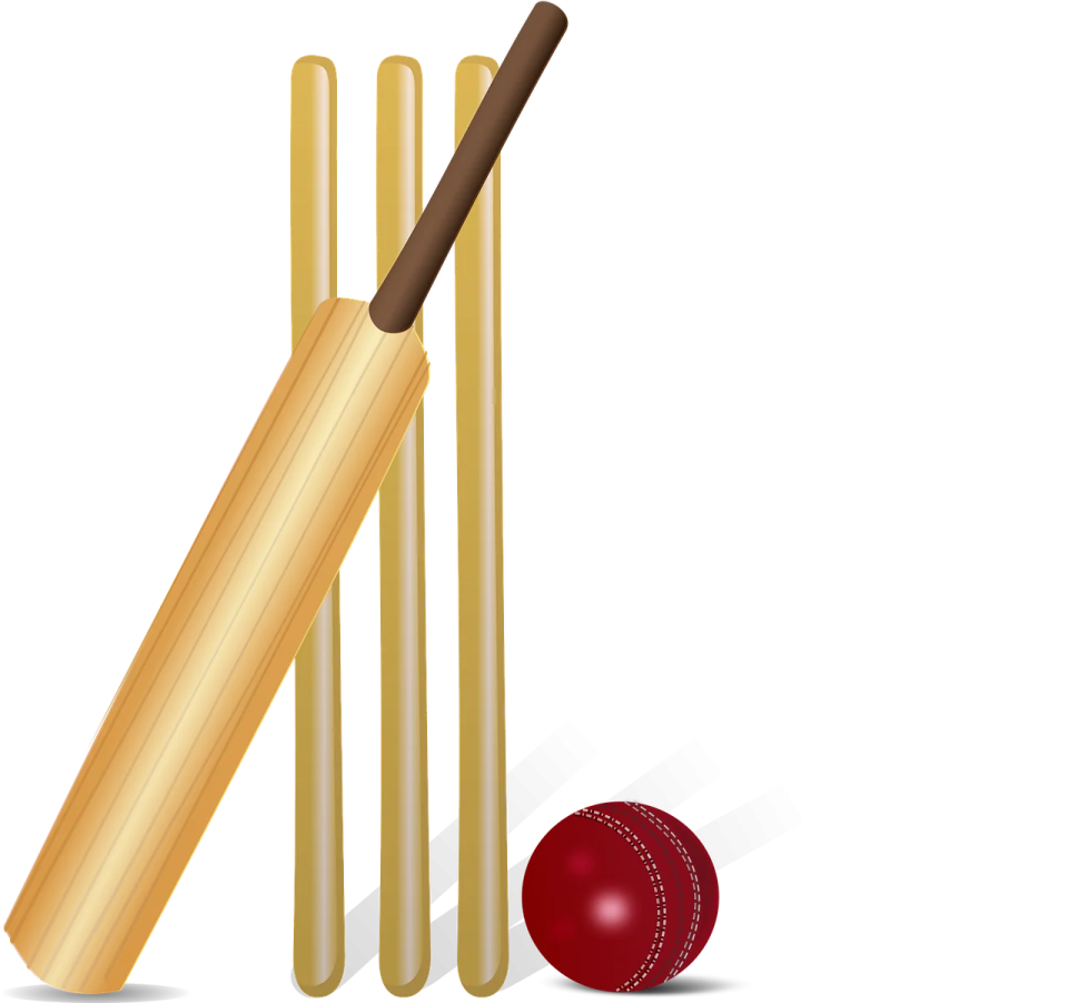 a cricket bat and ball