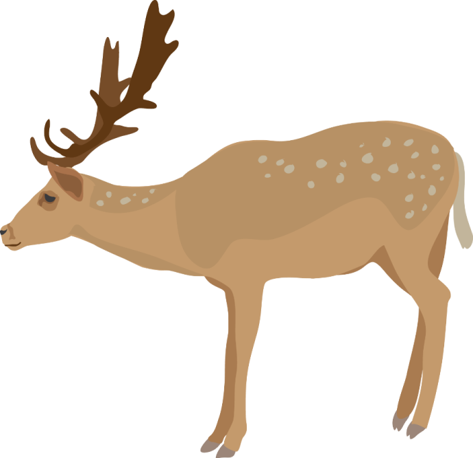 a deer with ants on it's back