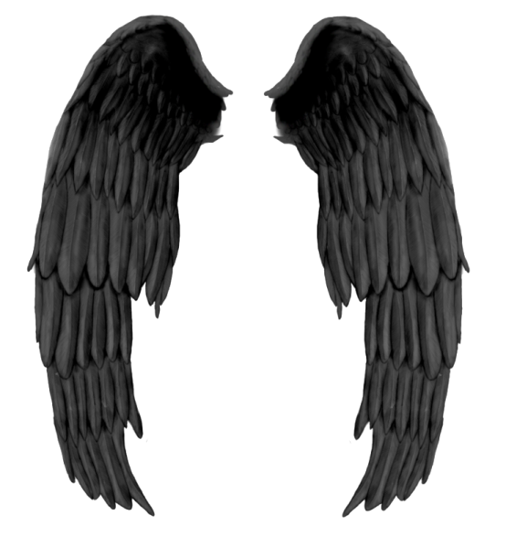 two black wings on a white background