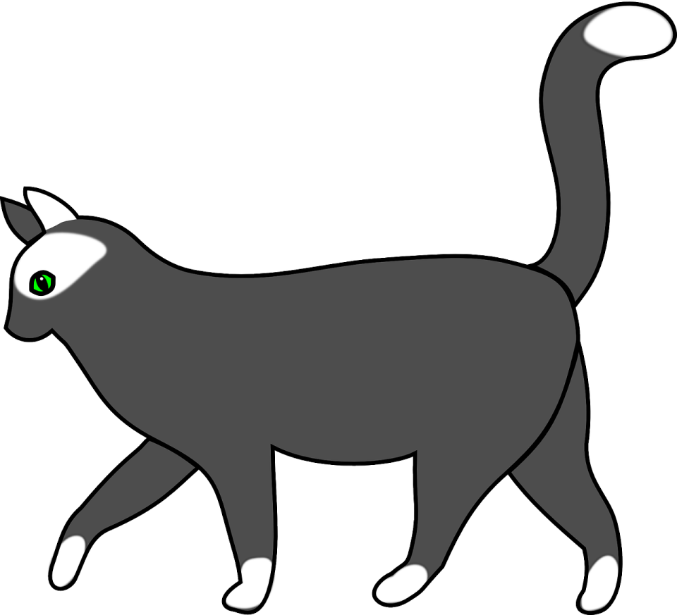 a black cat with green eyes