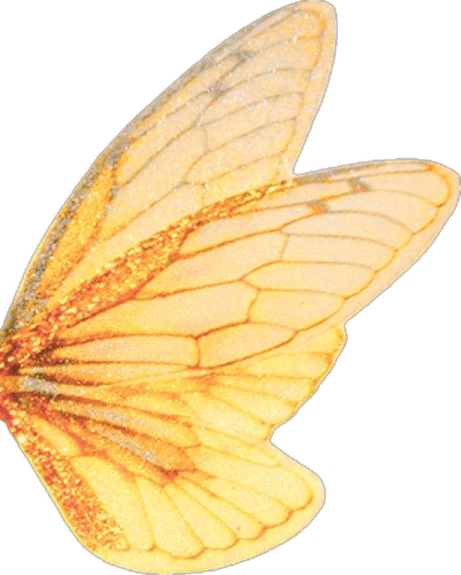an image of a yellow butterfly