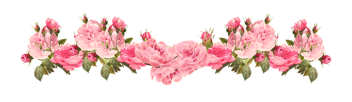 a bunch of pink flowers on a white background