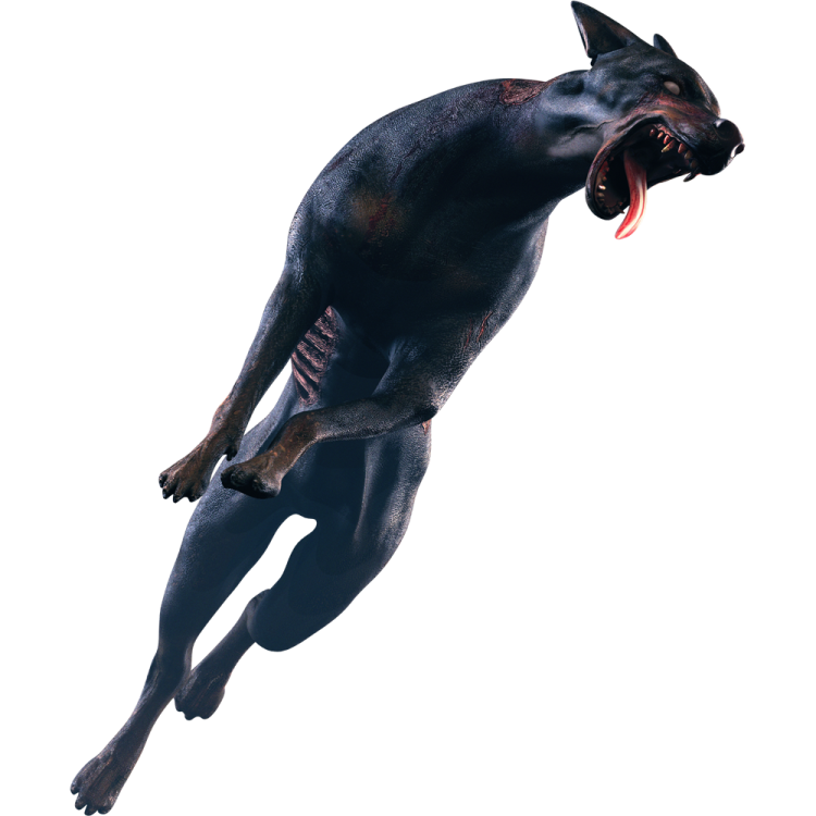 a dog jumping in the air with its mouth open