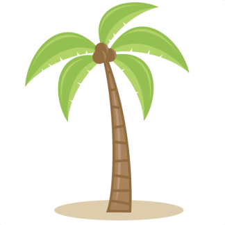 a palm tree on a white background