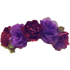 a purple and red flower on a white background