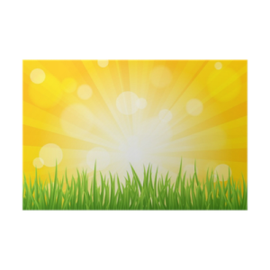 a green grass field with the sun shining in the background