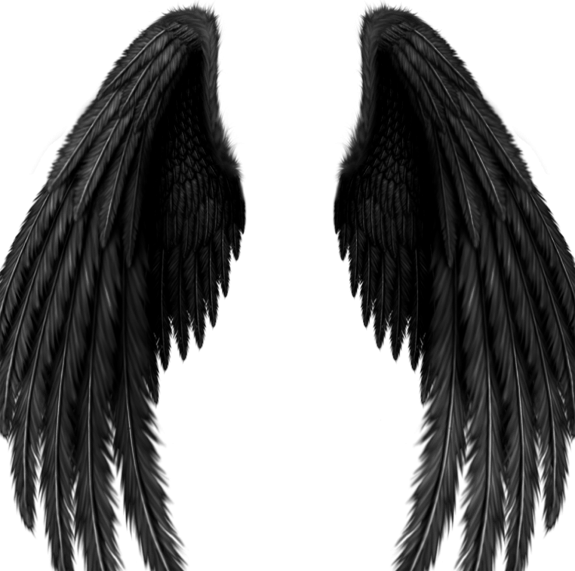 two black wings on a white background