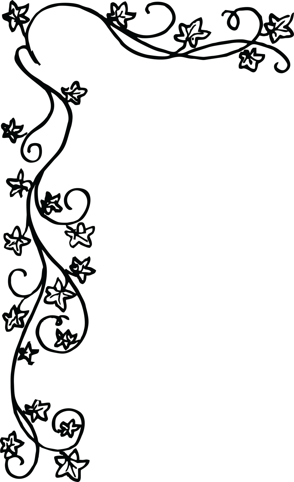 a black and white floral frame with vines