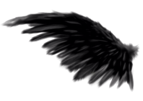 a black angel wing on a white background
