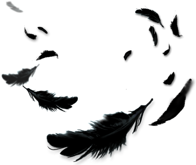 black feathers flying in the air